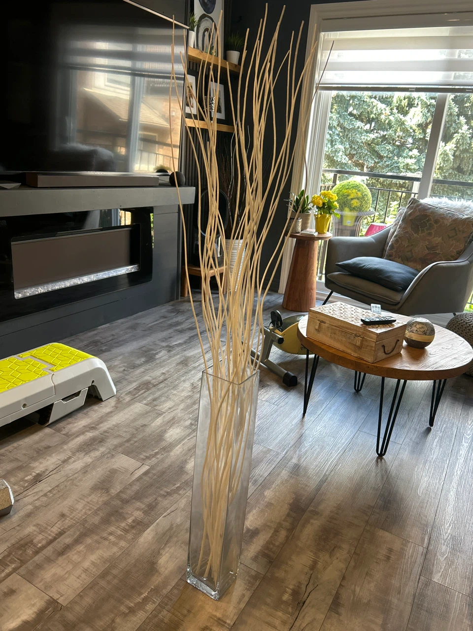 Tall Glass Vase with Natural Wood Branches