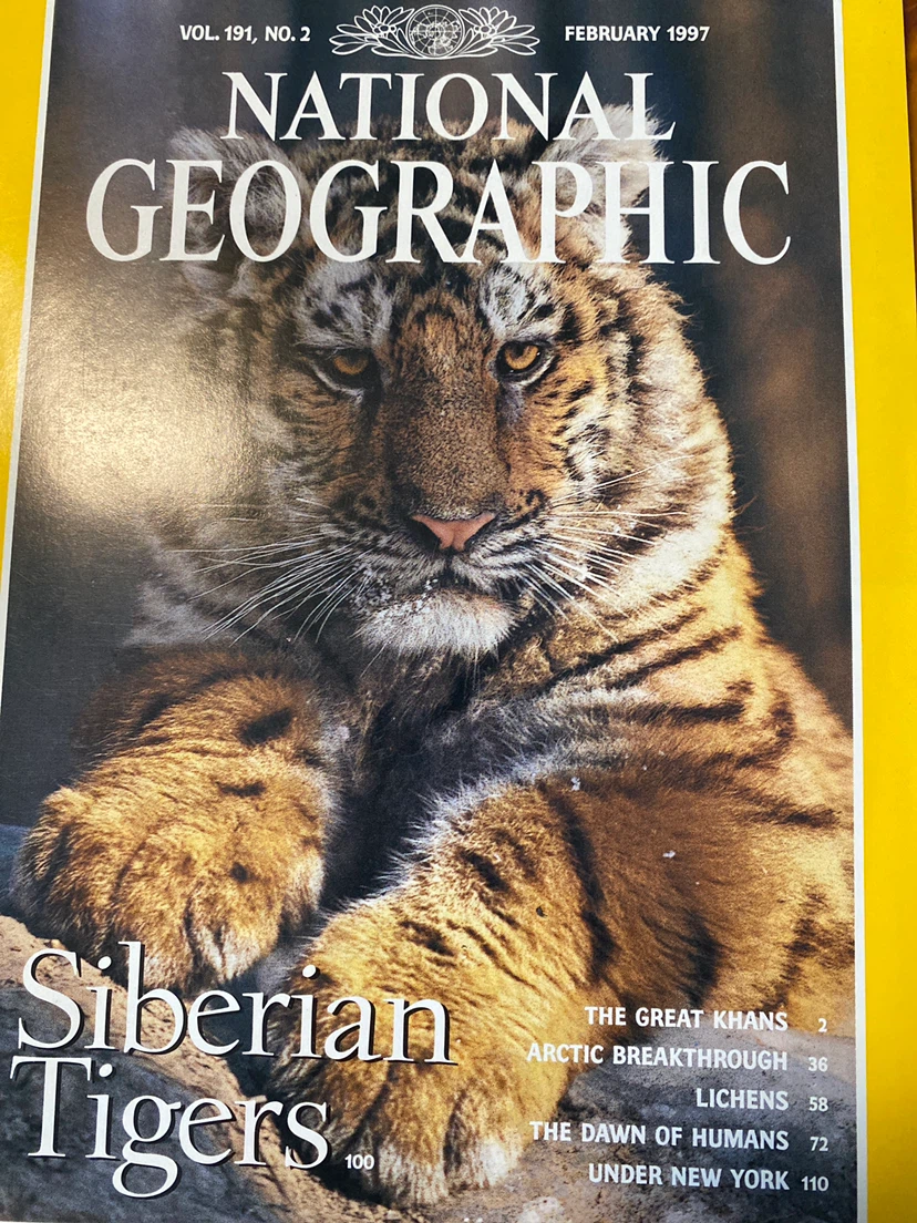 Collection of National Geographic Magazines (1997) - photo 4