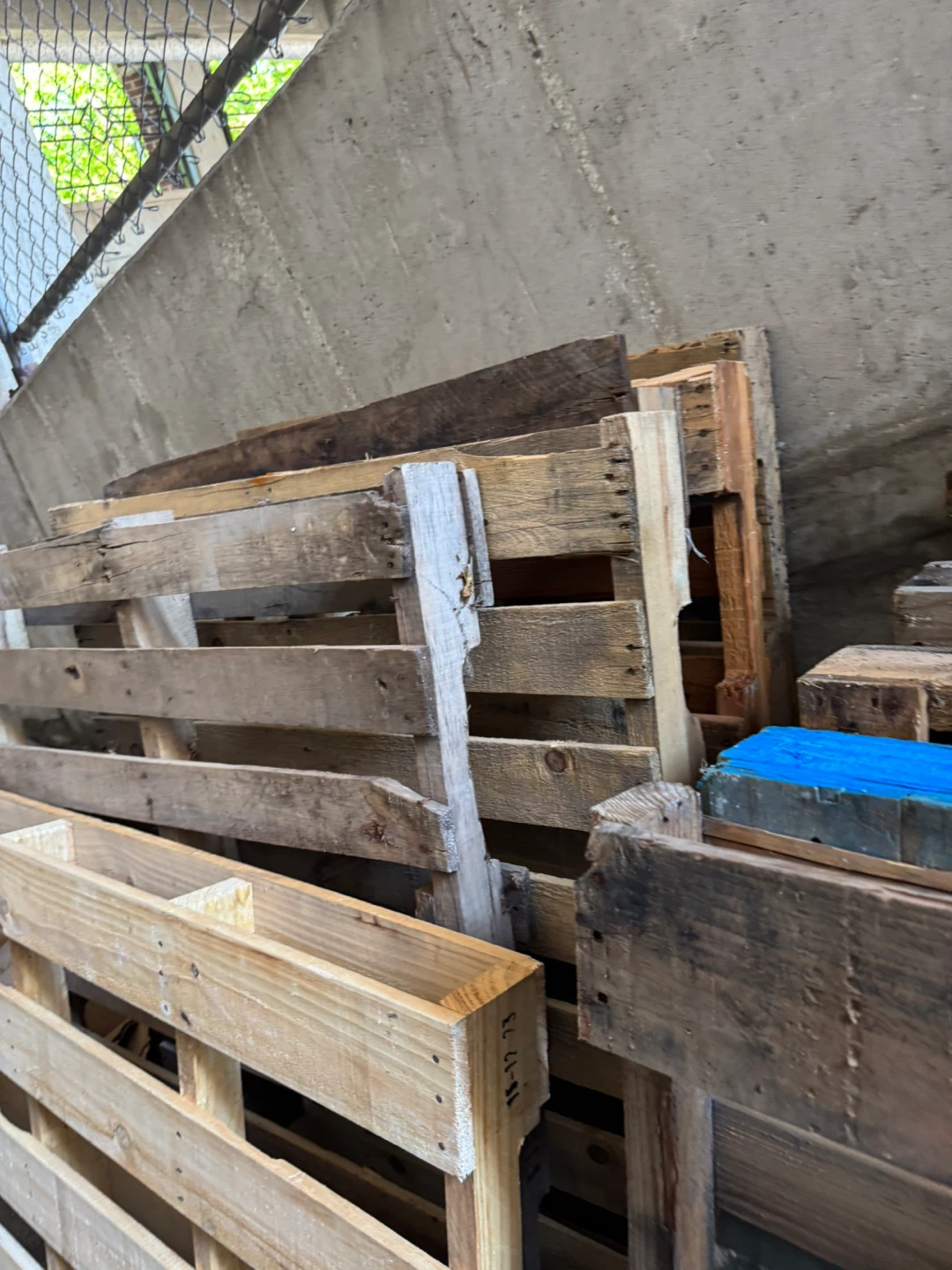 12 wood pallets everything 10$ cash - photo 4