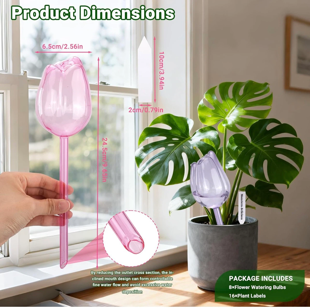 WRENYZK 8 Pcs Tulip Self Watering Globes - photo 3