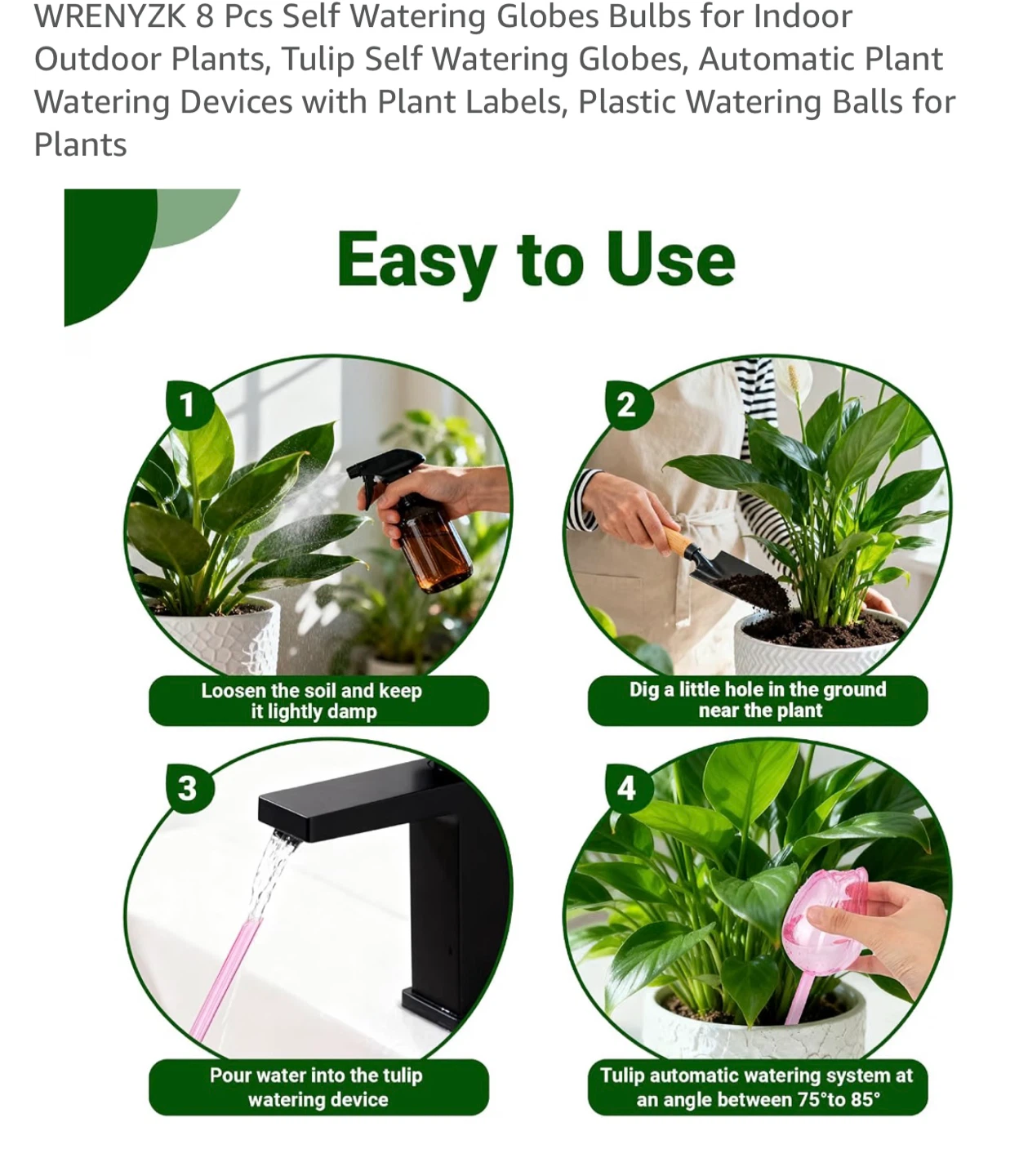 WRENYZK 8 Pcs Tulip Self Watering Globes - photo 4