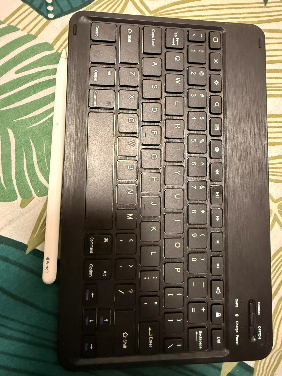 Apple Pencil and bluetooth keyboard
