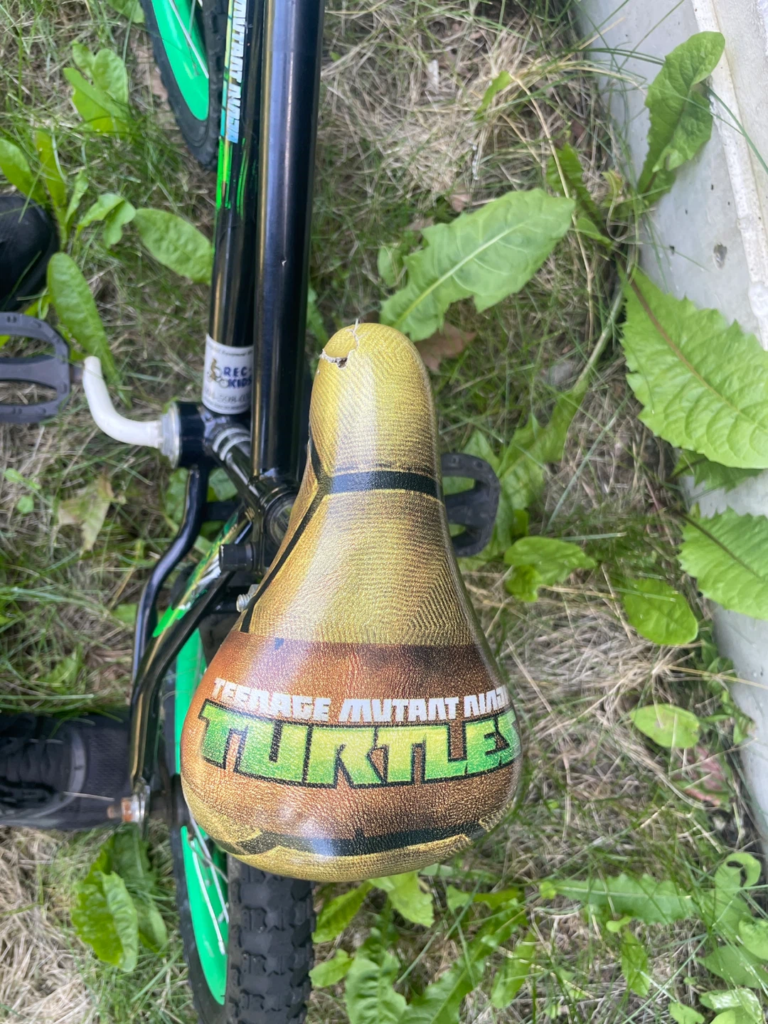 Kids TMNT BMX Bike - photo 4