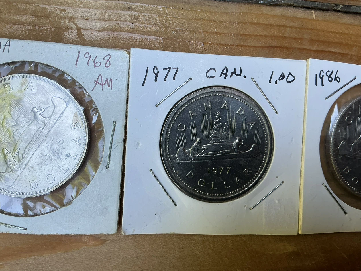 Canadian Dollar Coins - 1968, 1977, 1986 - photo 3
