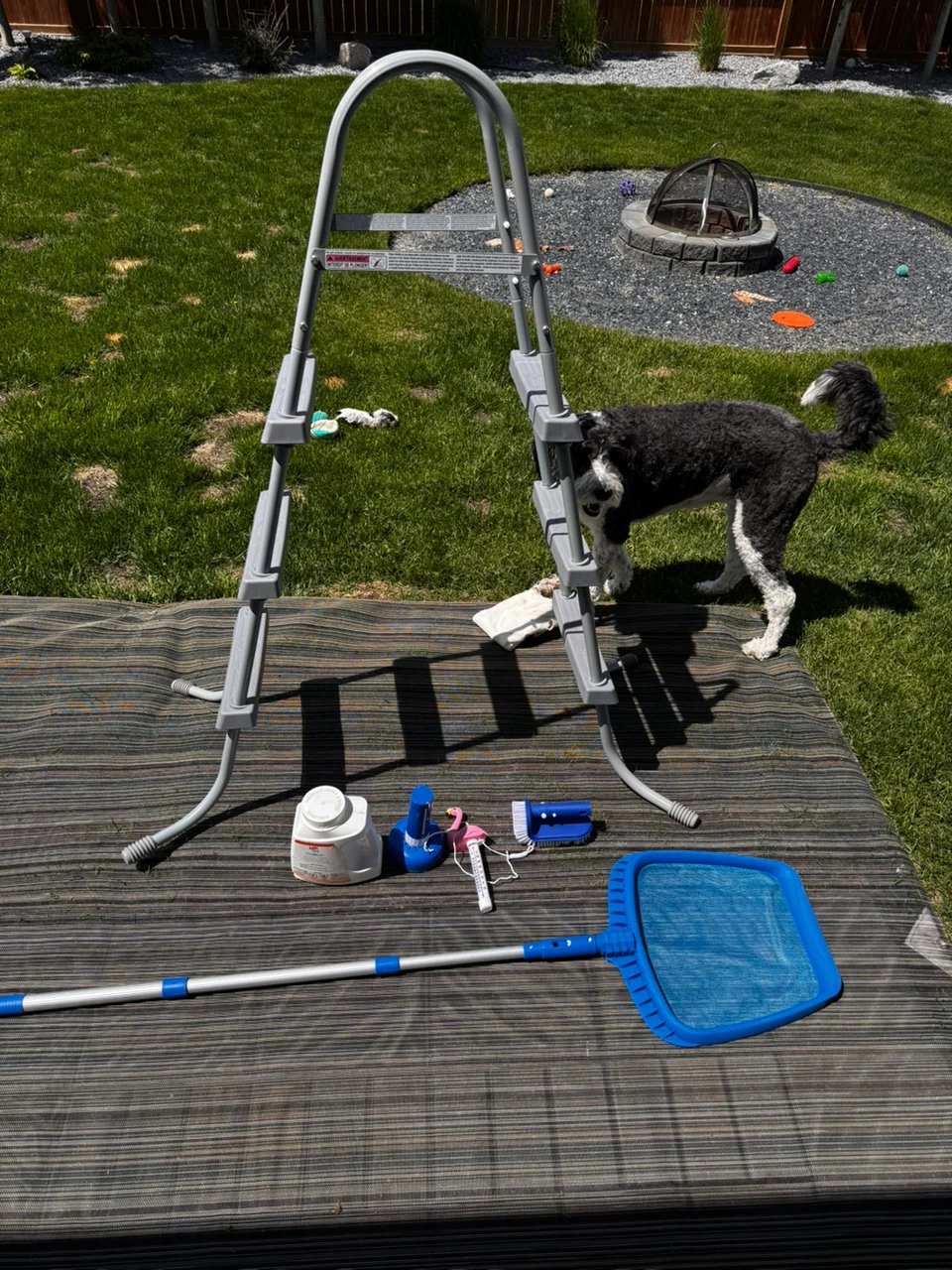 Intex Above Ground Pool Ladder with Accessories