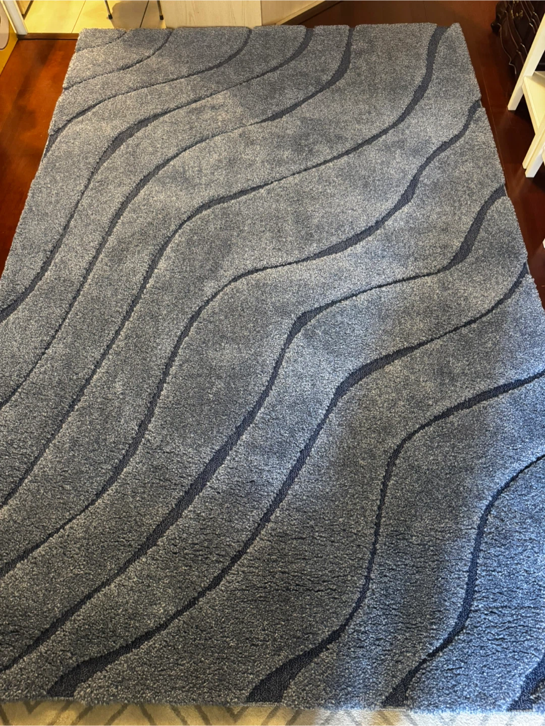 Safavieh Florida Shag Area Rug
