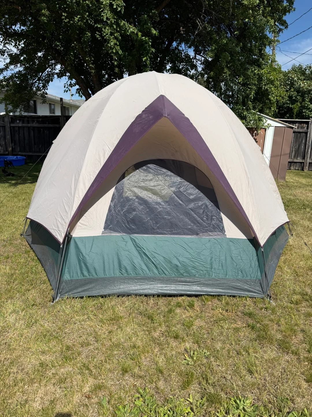 Escort UV-Tex 5 Tent - 5-Persons - photo 4