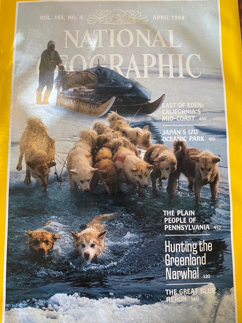 National Geographic Magazine - April 1984