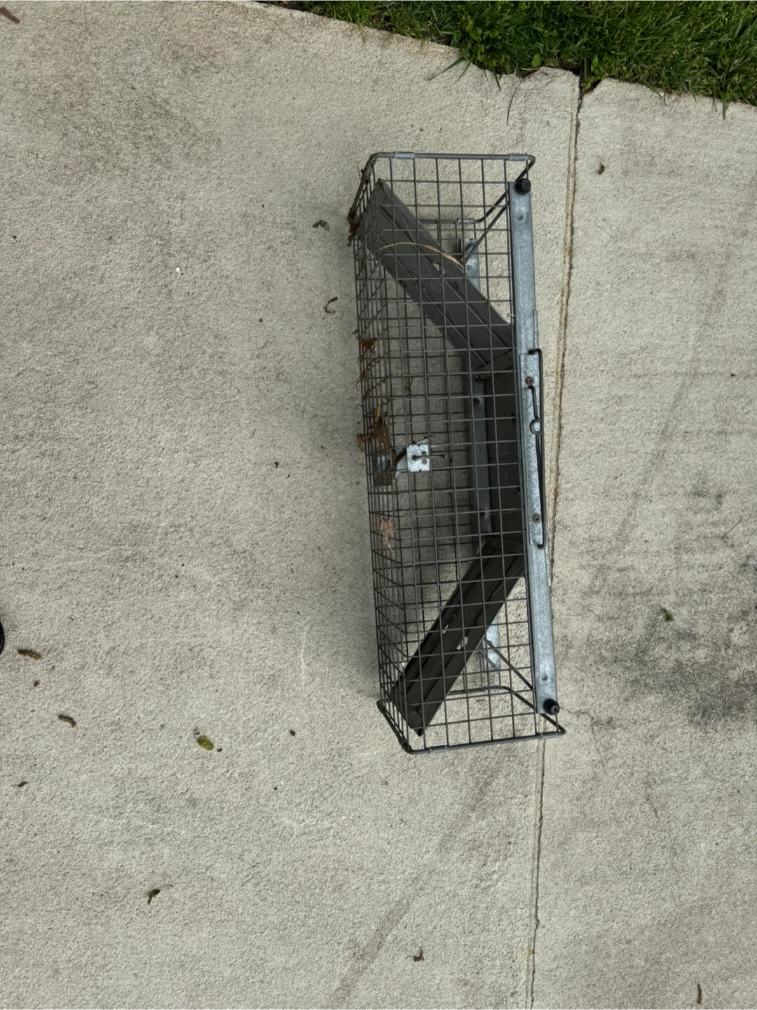 Wire Animal Trap