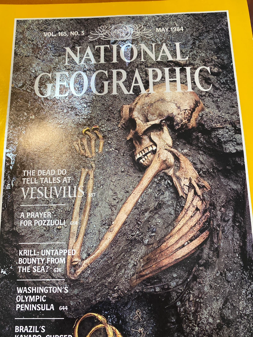National Geographic Magazines - 1984 Collection