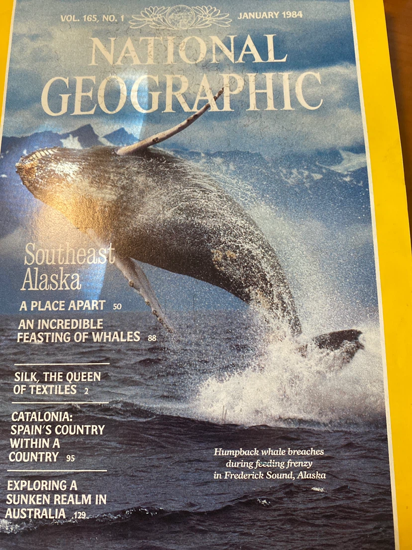 National Geographic Magazines - 1984 Collection - photo 4