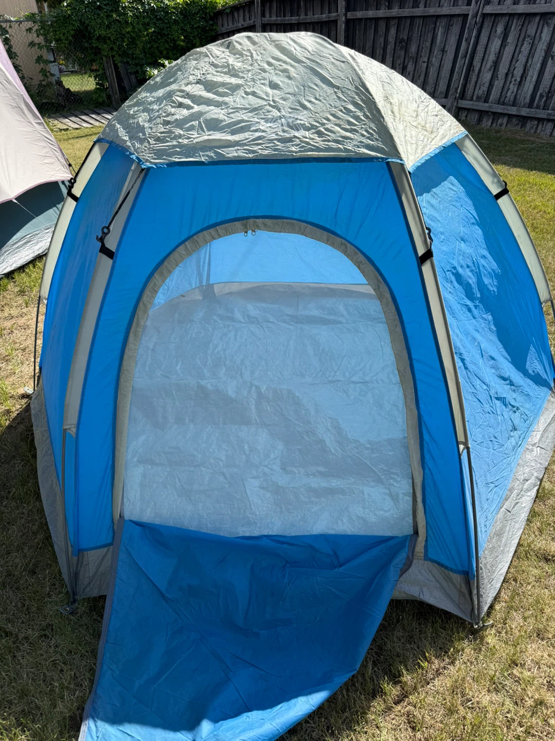 Blue Dome Tent - photo 2