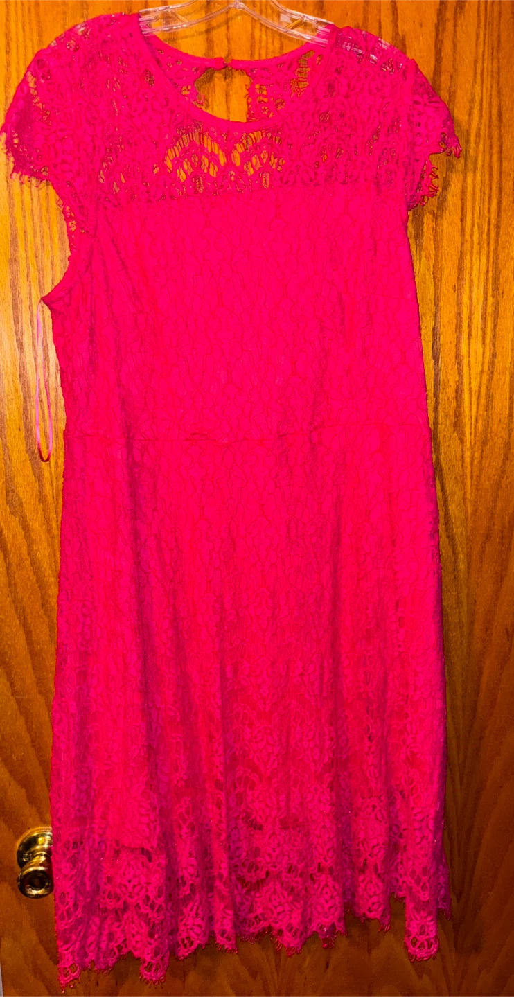 Lane Bryant Lace Sheath Dress Size 18