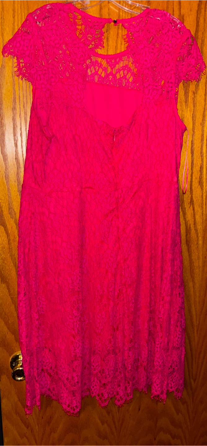 Lane Bryant Lace Sheath Dress Size 18 - photo 2