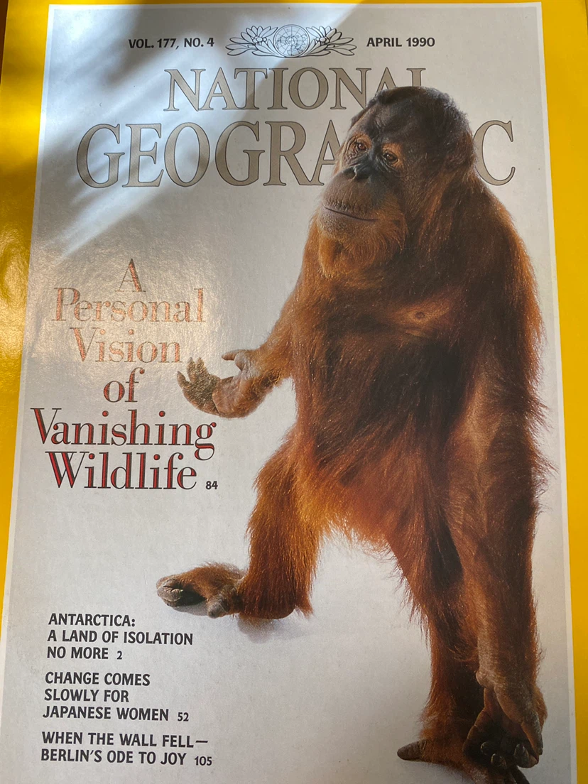 National Geographic Magazines - January to June 1990 - photo 3