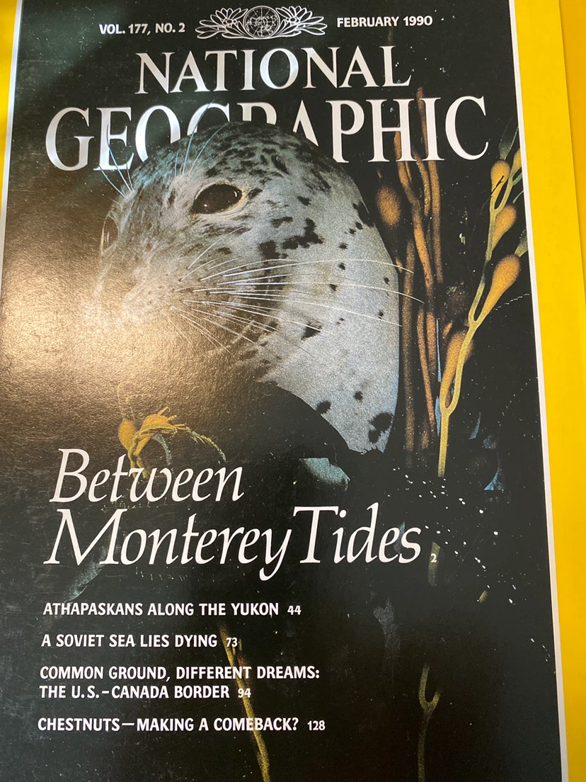 National Geographic Magazines - January to June 1990 - photo 4
