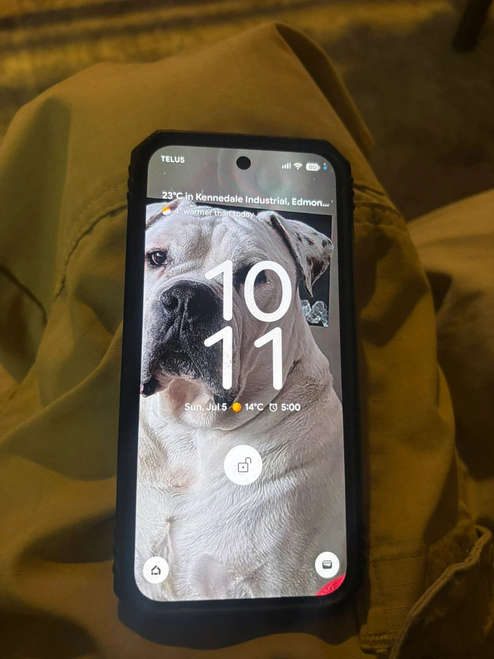 Google pixel 9 great shape no cracks - photo 2