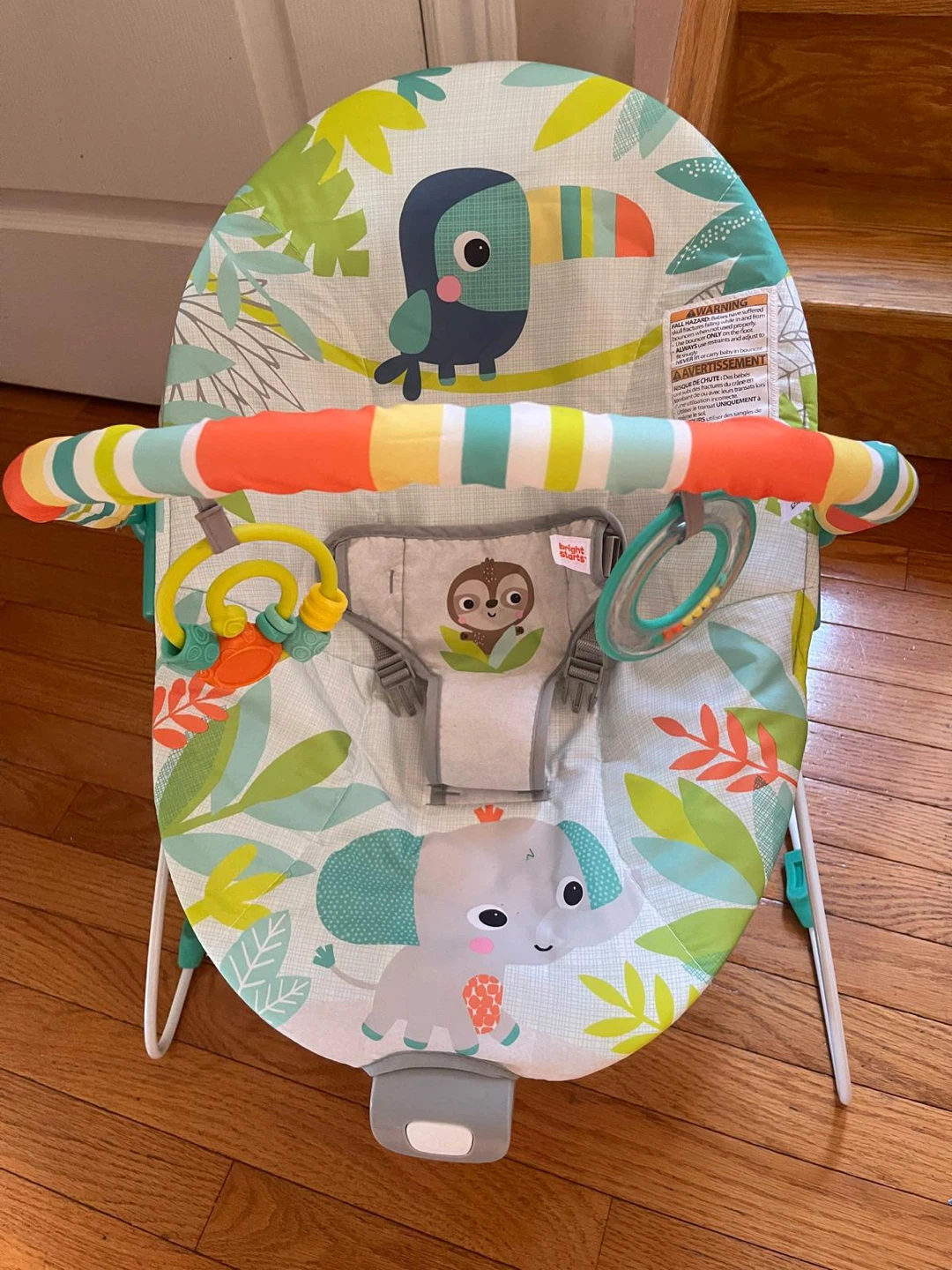 Bright Starts Baby Bouncer