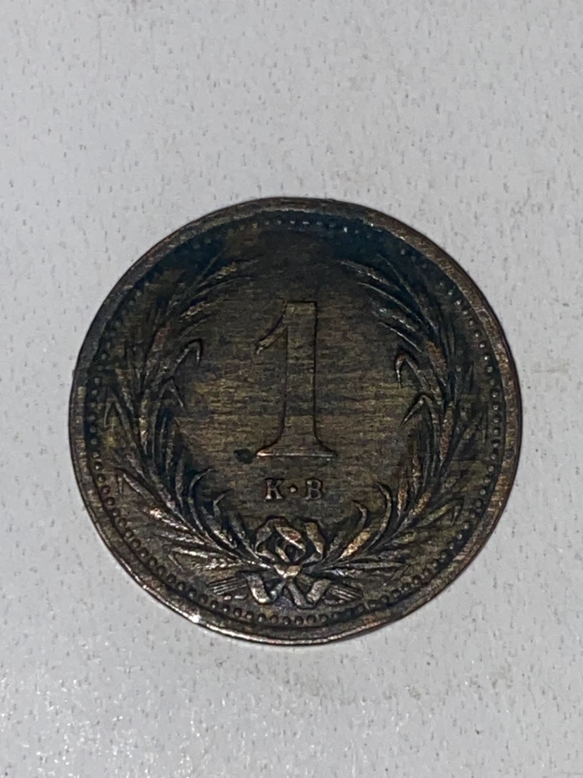 1895 Hungarian 1 Korona Coin - photo 2