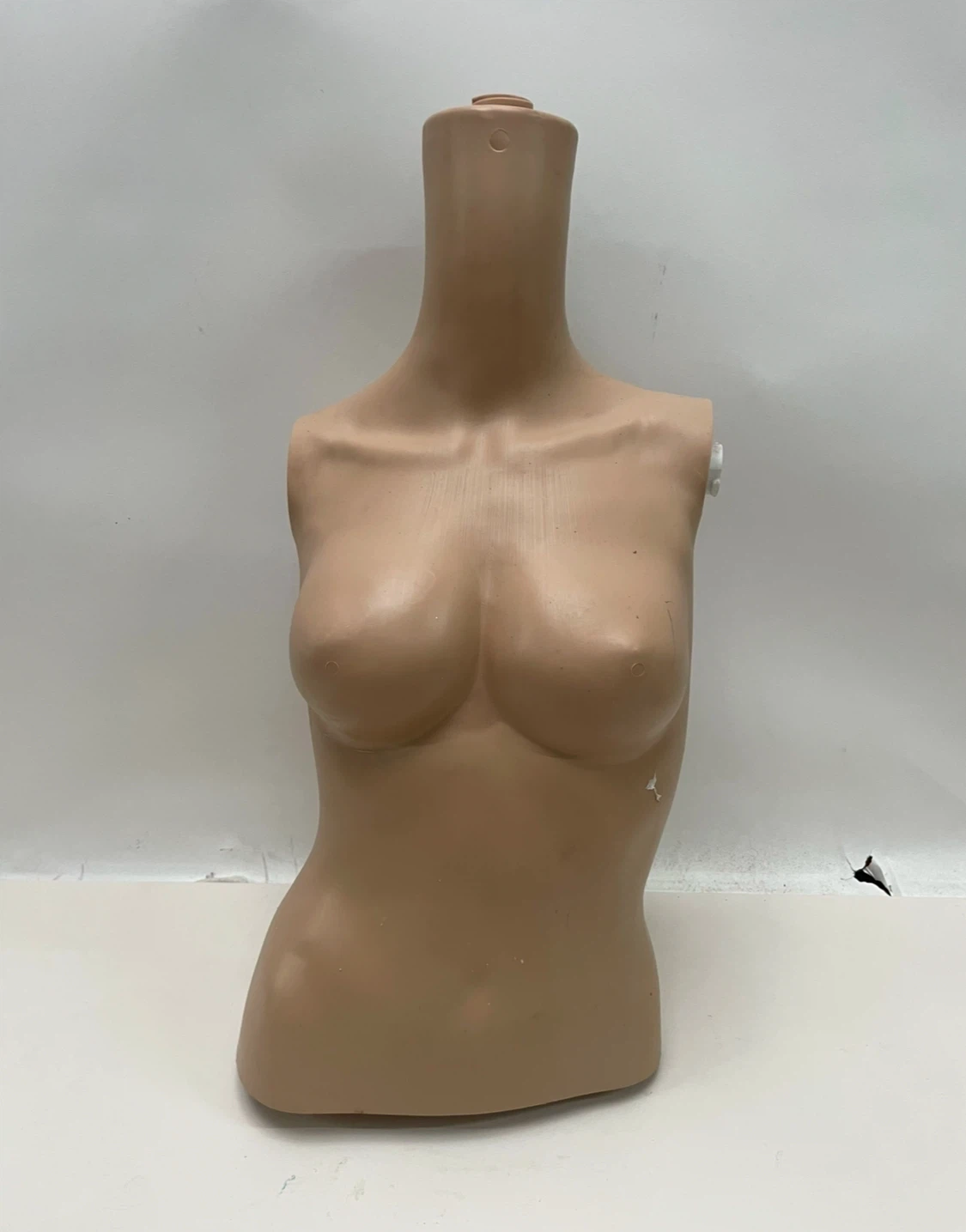 Female Torso Mannequin Display Form