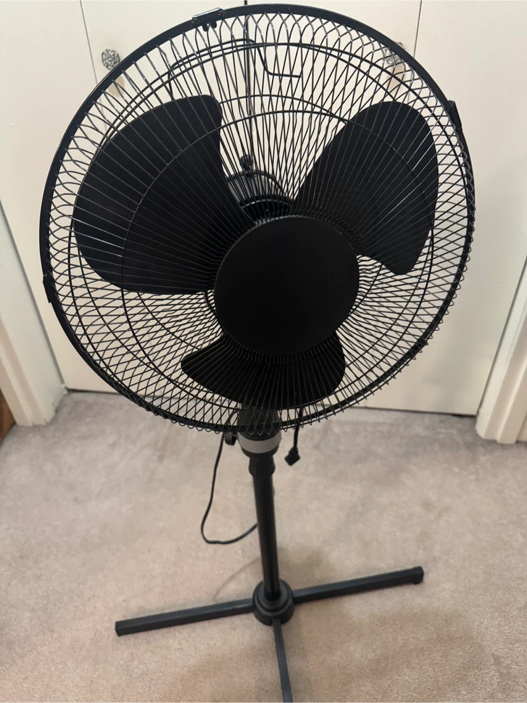 Black Standing Fan