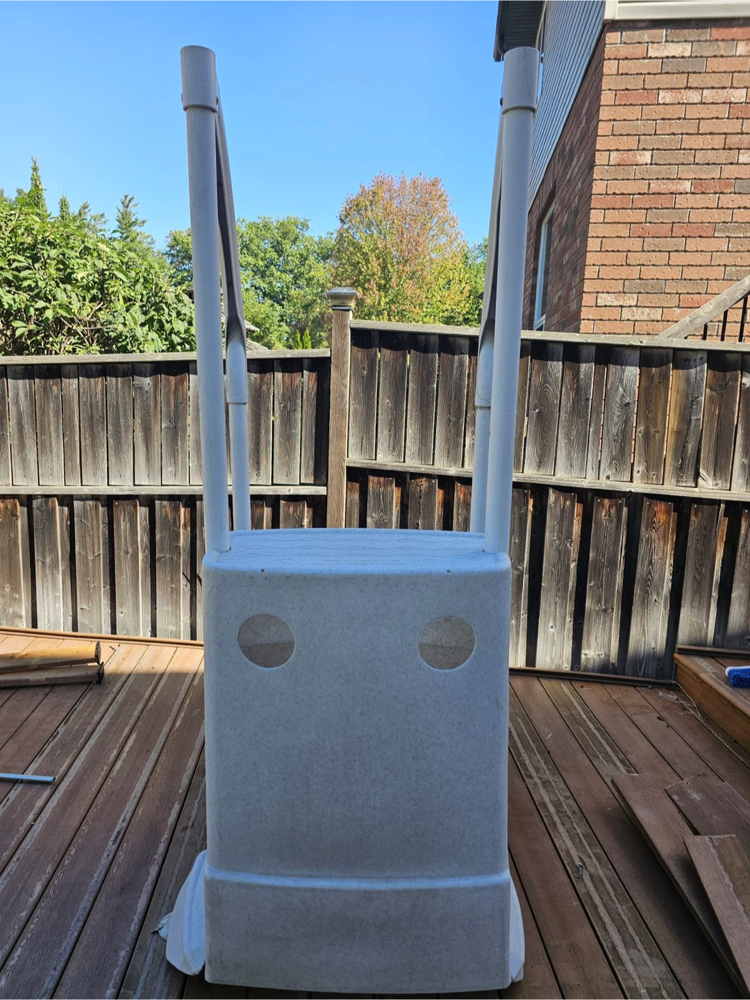 Pool ladder