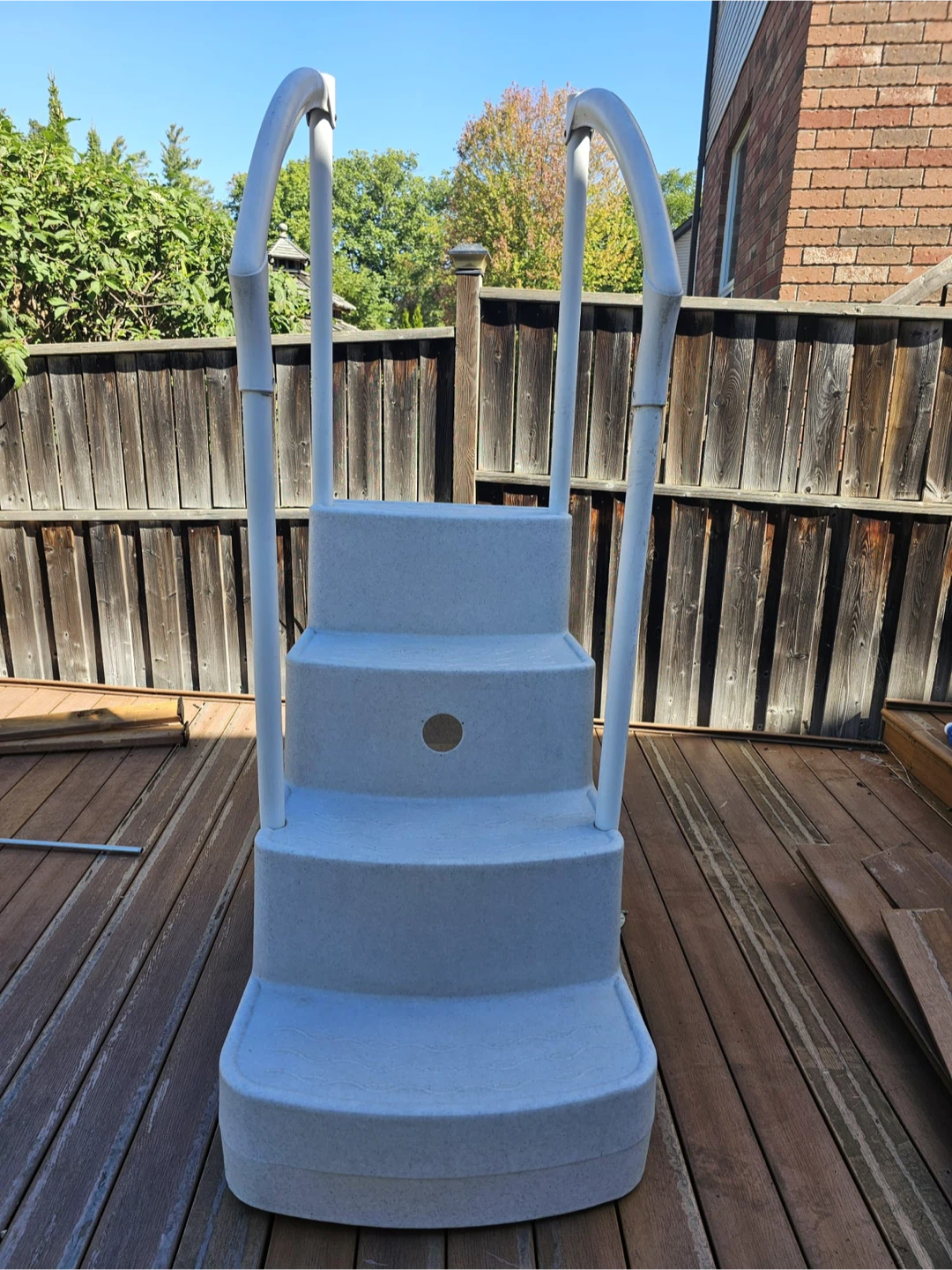 Pool ladder - photo 5