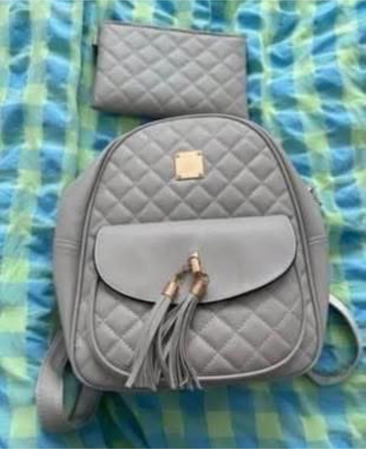 Wallet and bag (New) (Both for FREE)