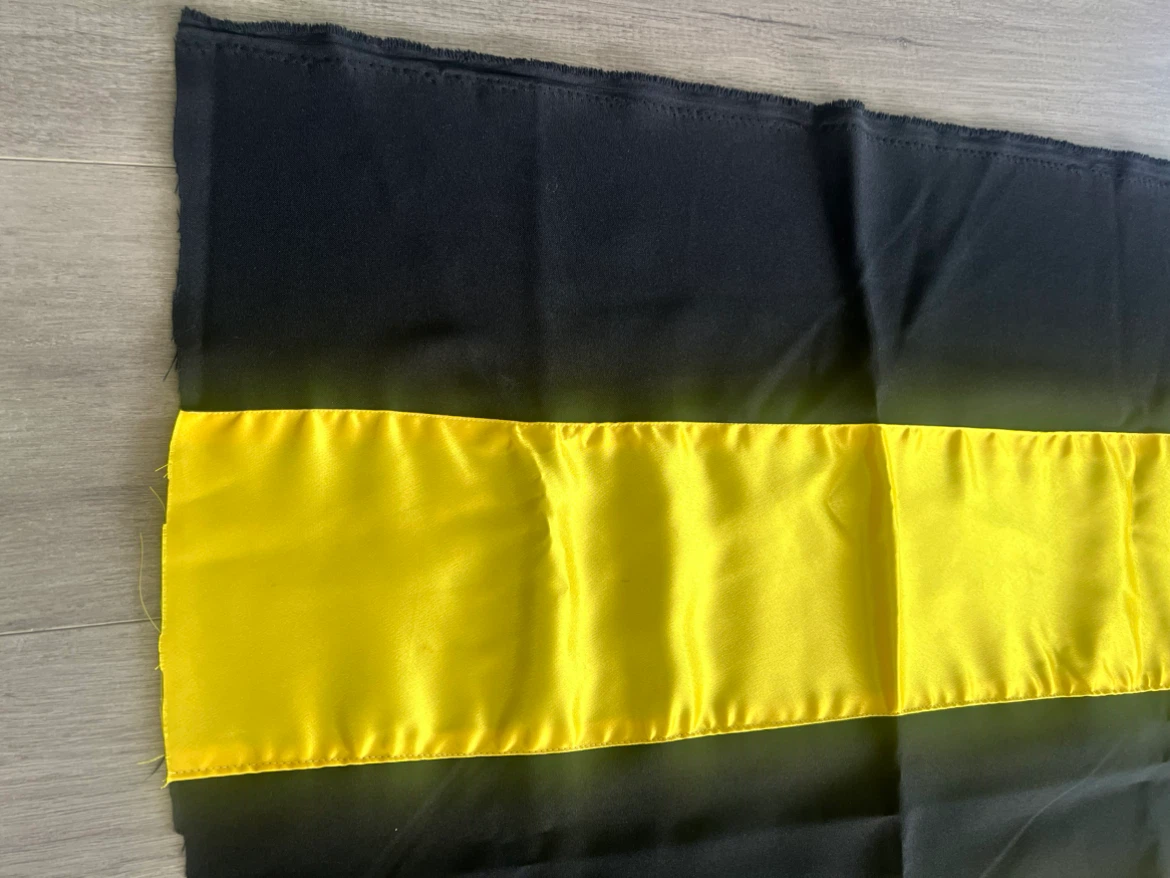 Black and Yellow Striped Fabric Panel Bumblebee 🐝 DIY Costume - photo 3