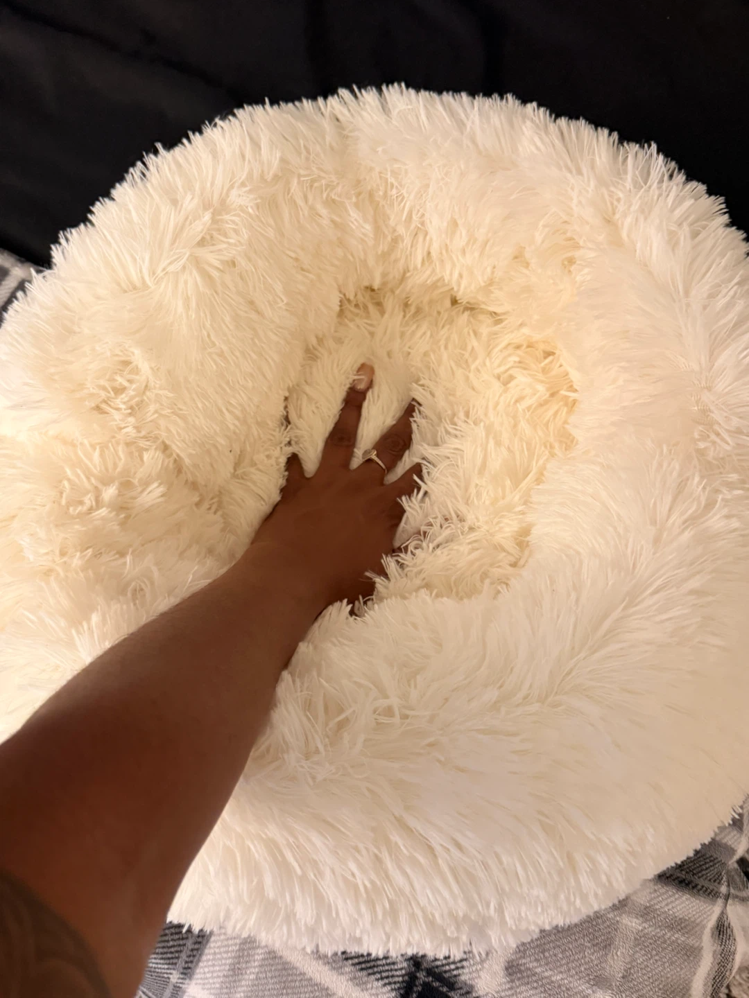 Fluffy Cream Pet Bed - photo 2