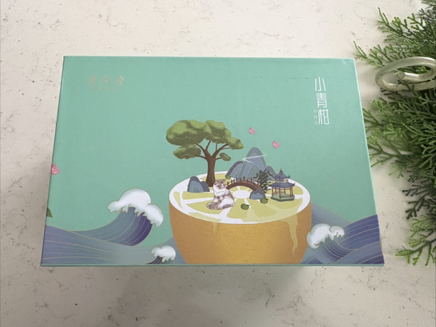 Baozheyuan Citrus 🍊 Puerh Tea Gift Box - photo 2