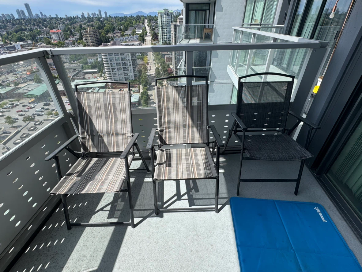 Move out sale- Folding patio chairs - photo 2