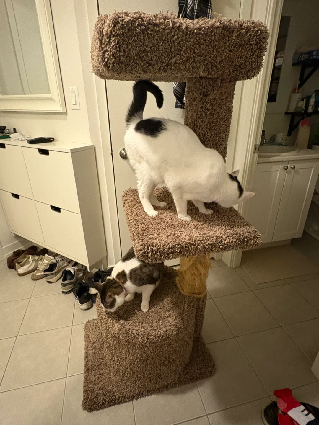 Multi-Level Cat Tree with Scratching Post