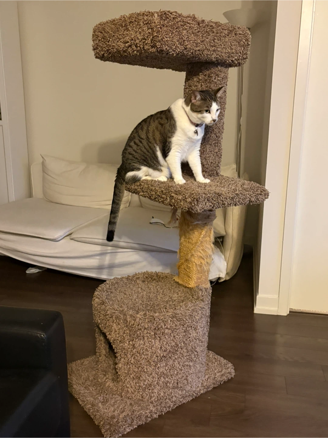 Multi-Level Cat Tree with Scratching Post - photo 2