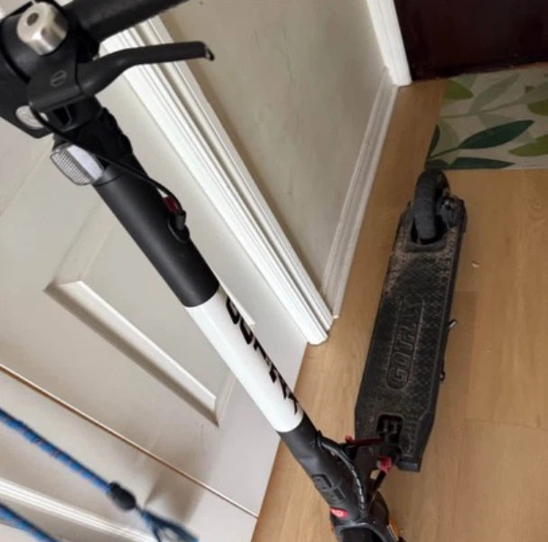 GOTRAX Electric Scooter