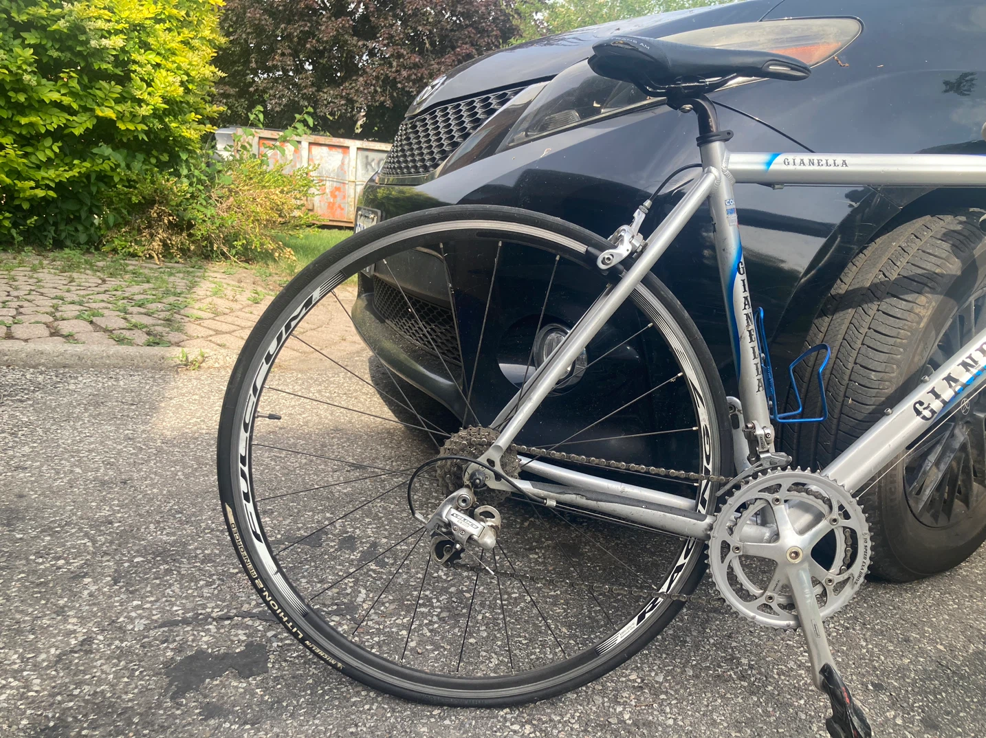 Gianelli Road Bike - photo 4