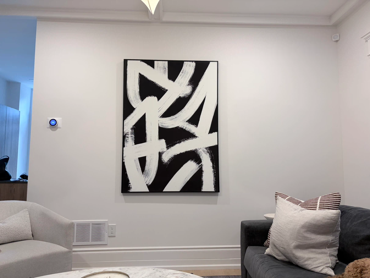 Abstract Black and White Canvas Art