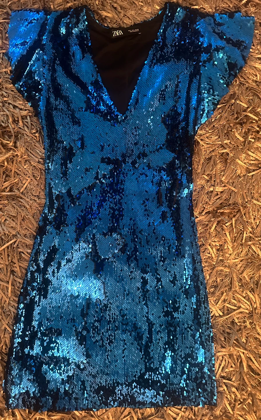 ZARA Blue Sequin Dress