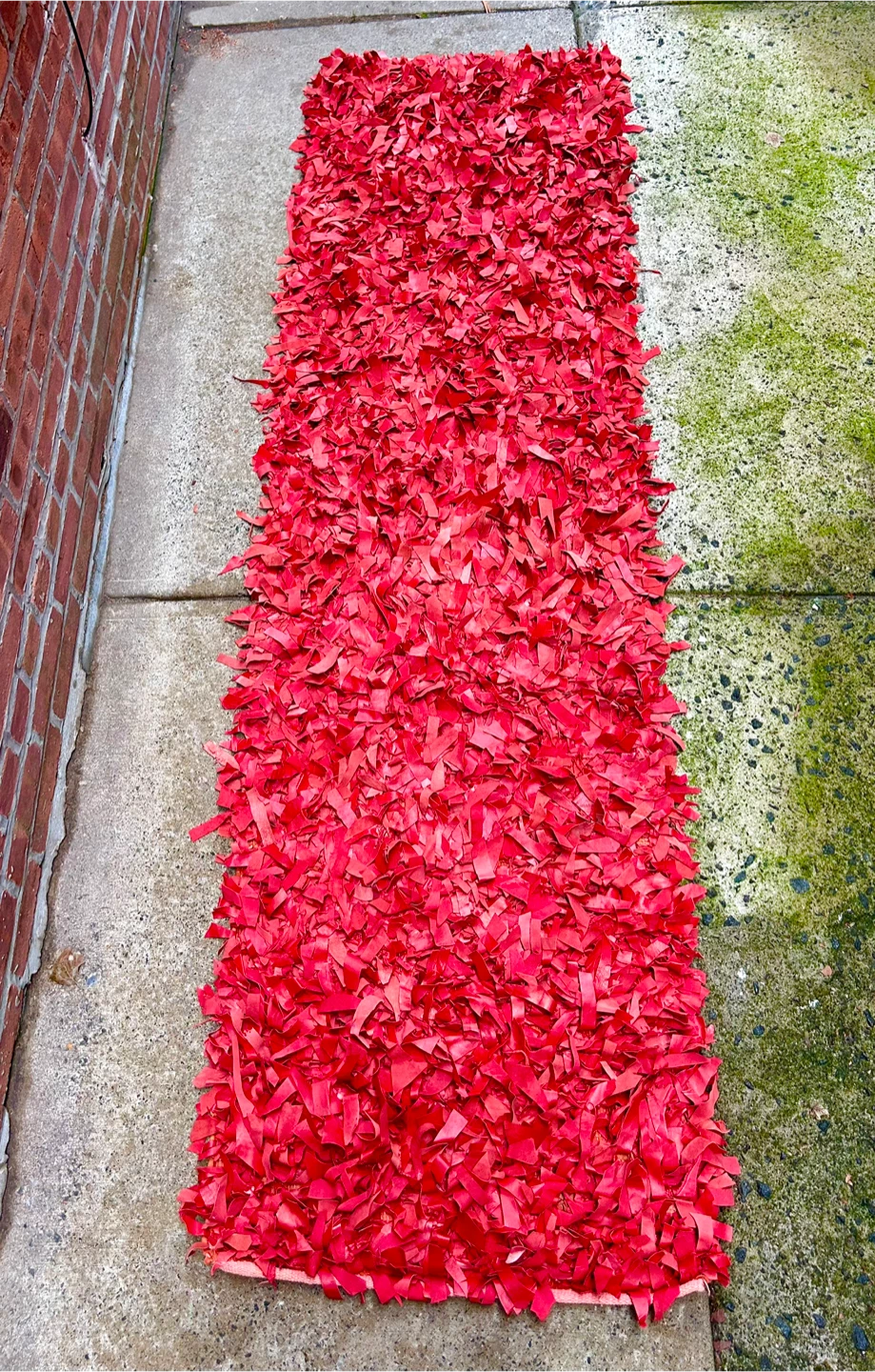 SAFAVIEH Red Shag Runner Rug/Tapestry