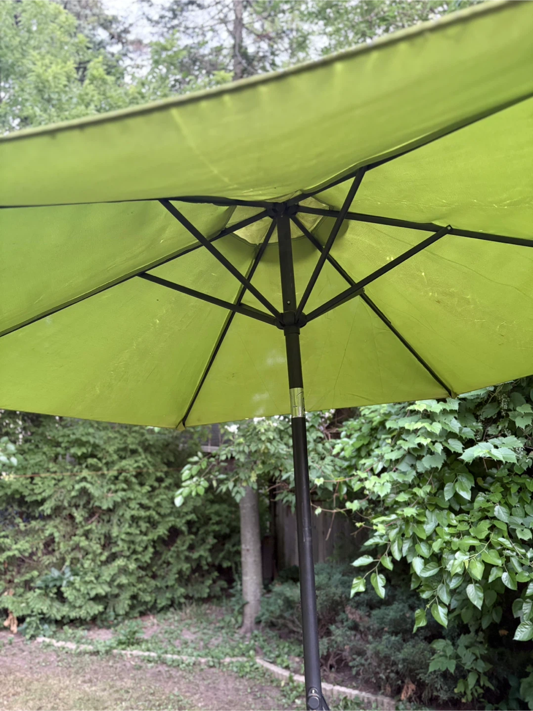Lime Green Patio Umbrella - photo 2