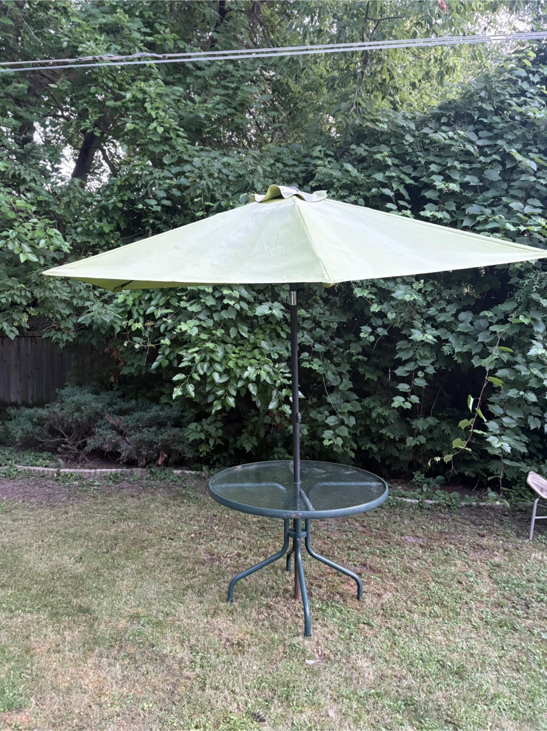 Lime Green Patio Umbrella - photo 3