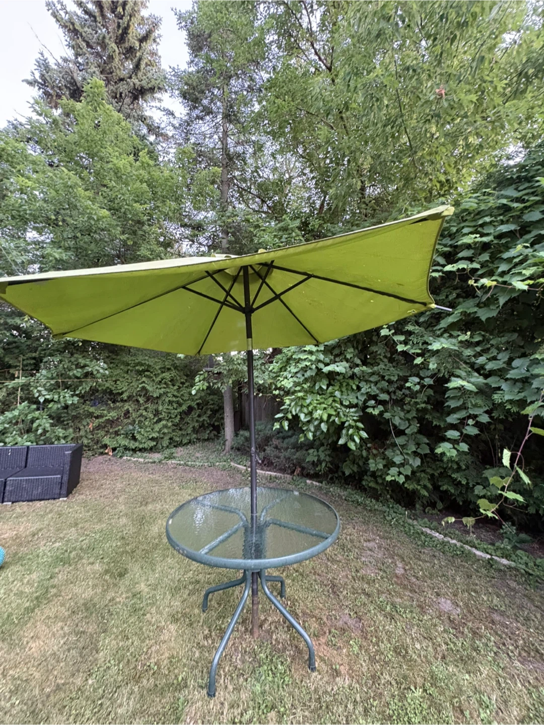 Lime Green Patio Umbrella - photo 4