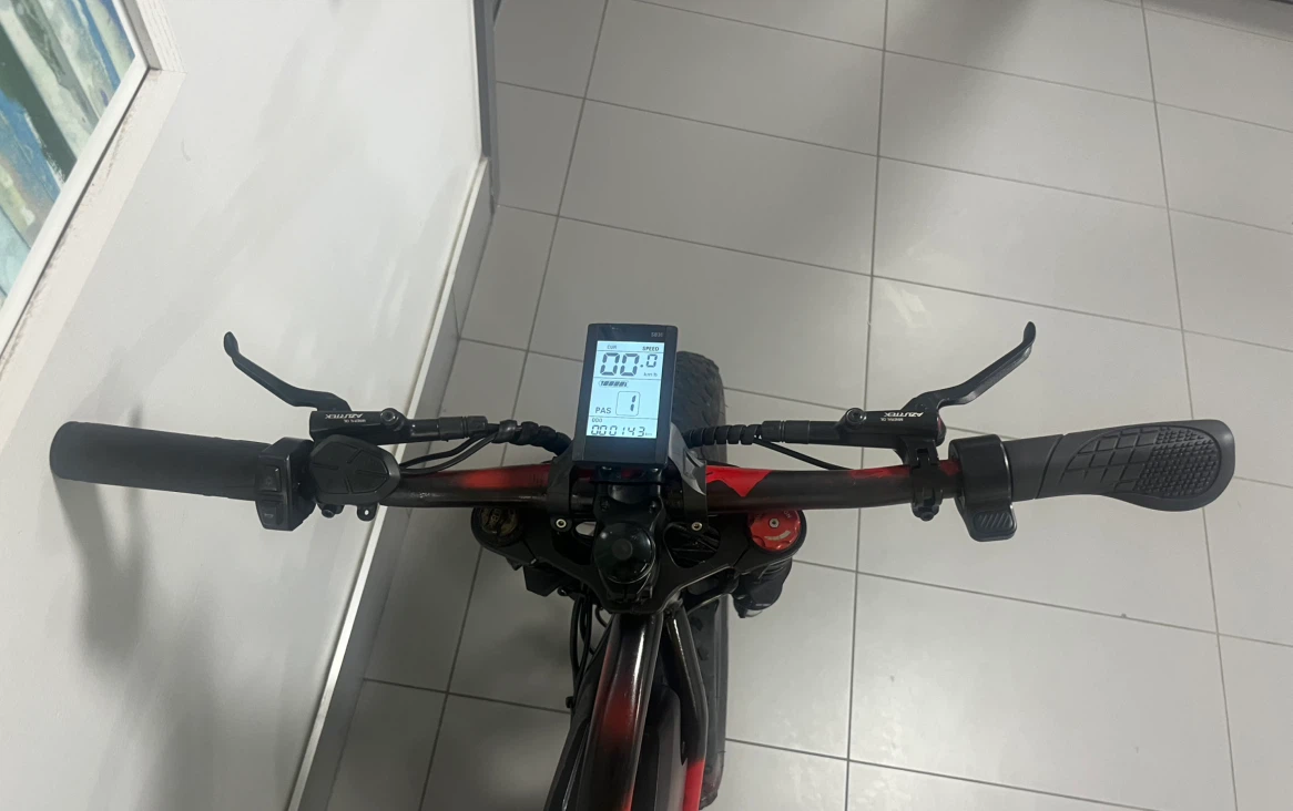 Electric Fat Tire Bike custom made - photo 3