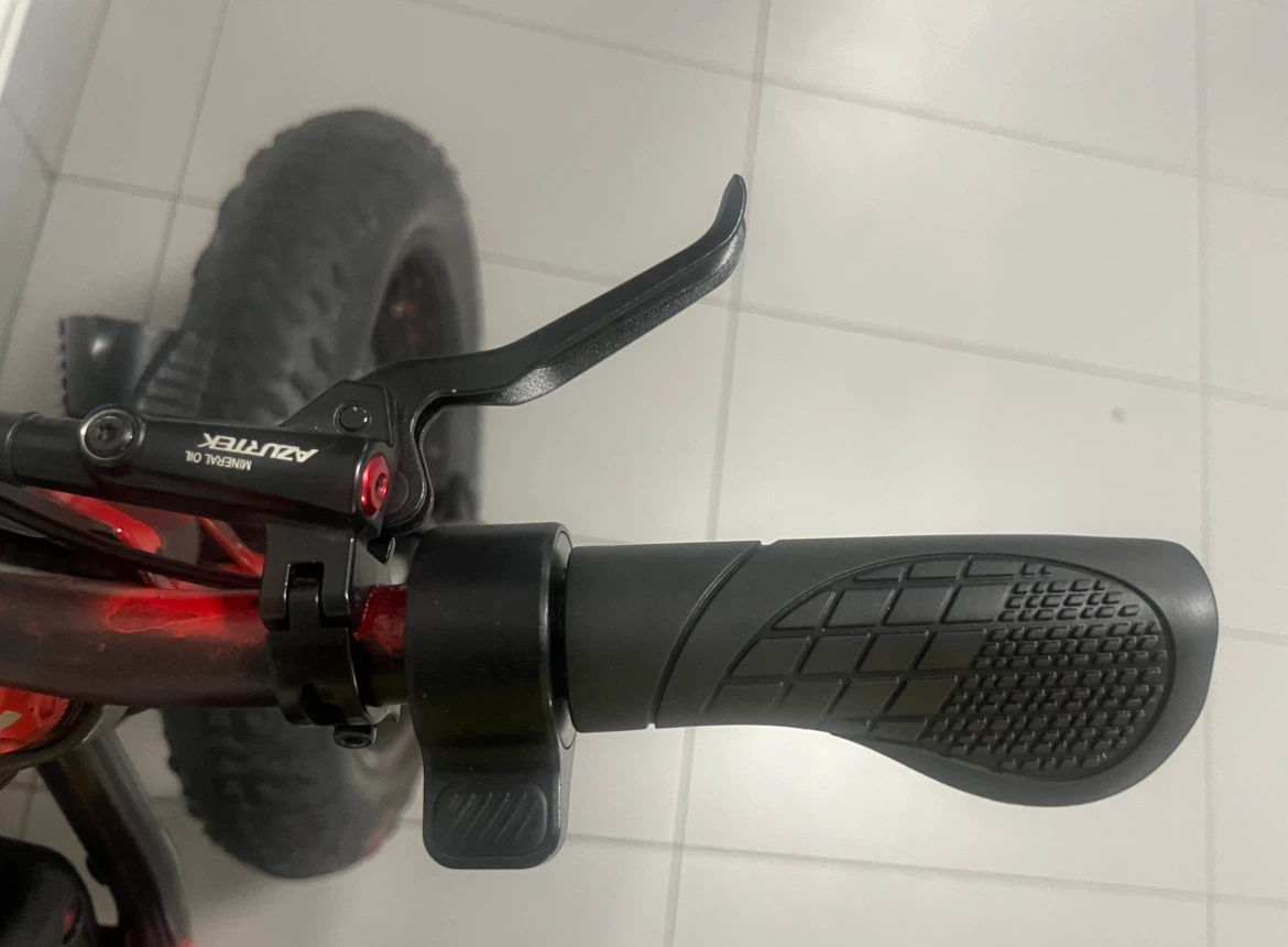 Electric Fat Tire Bike custom made - photo 4