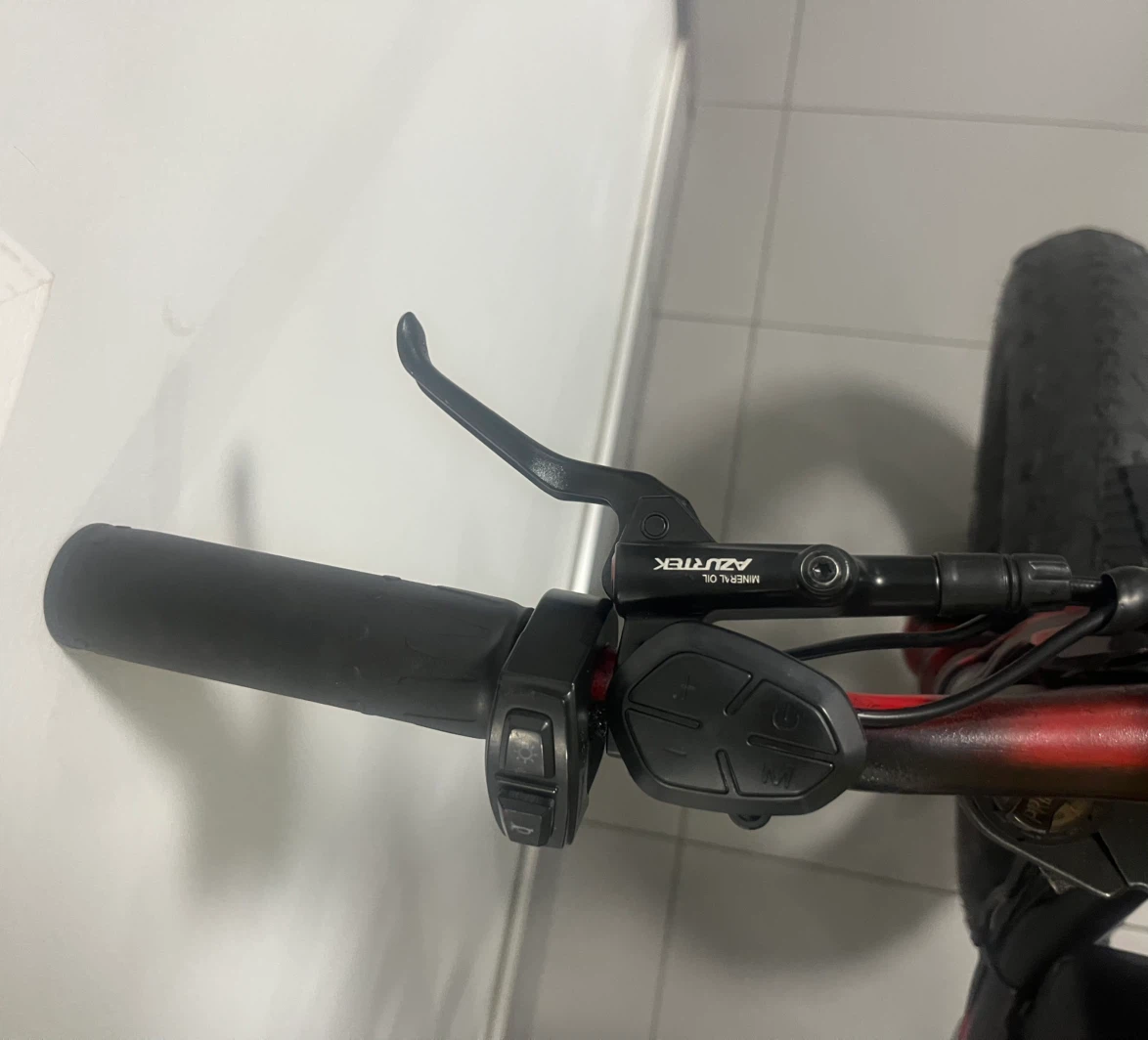 Electric Fat Tire Bike custom made - photo 5