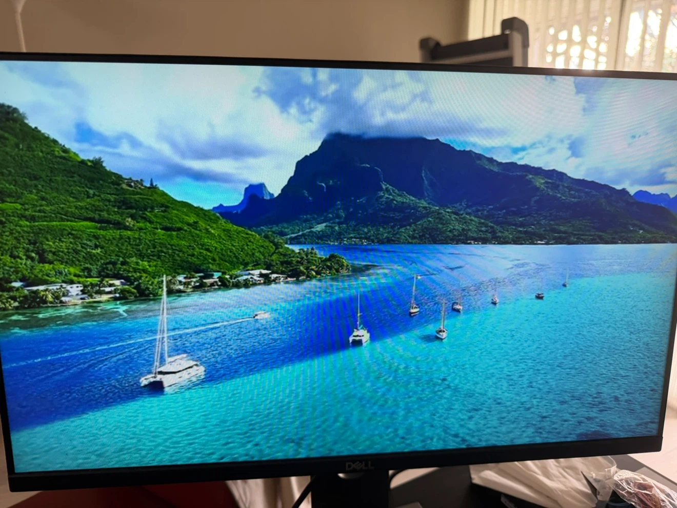 Dell Monitor