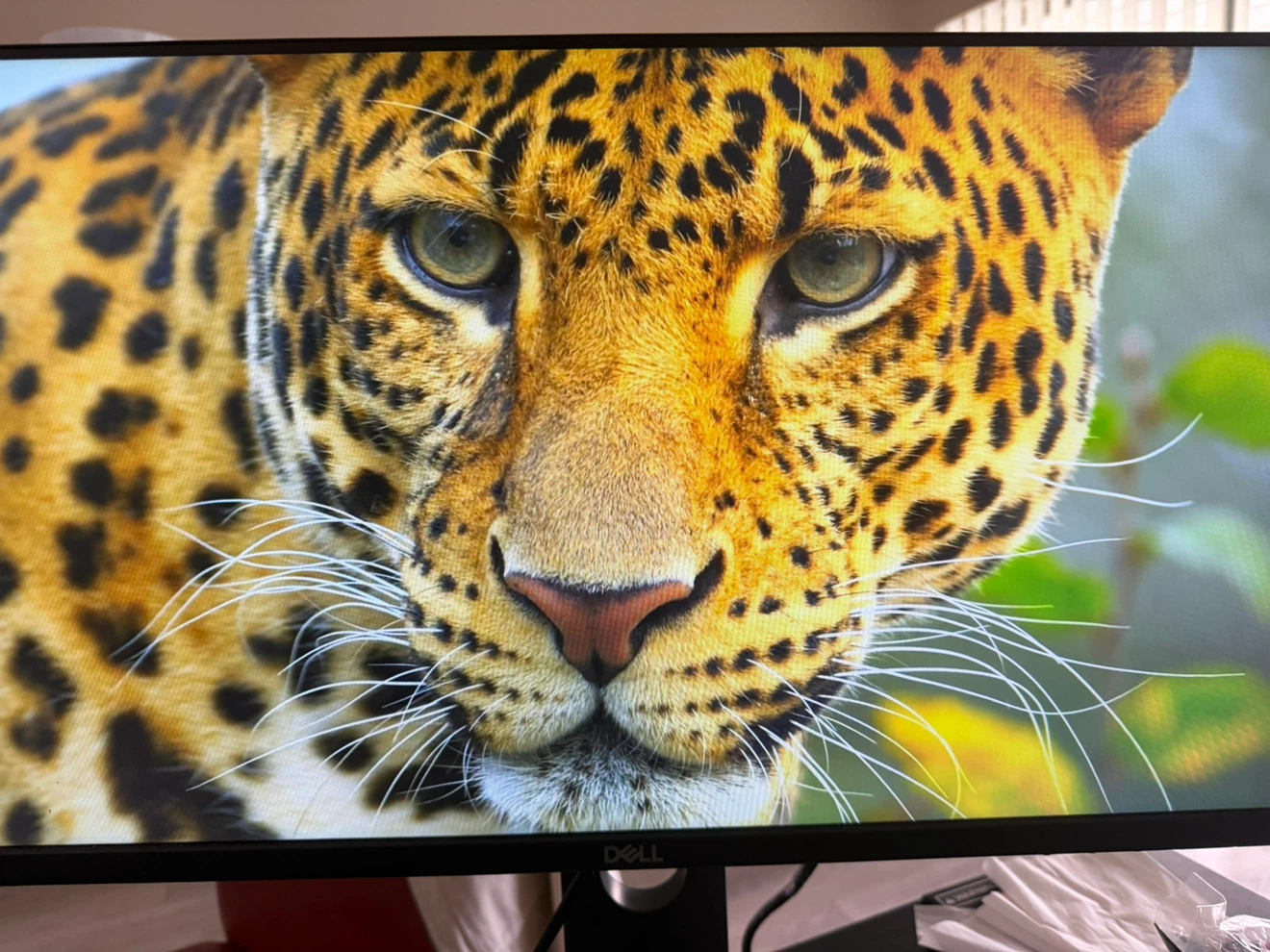 Dell Monitor - photo 3