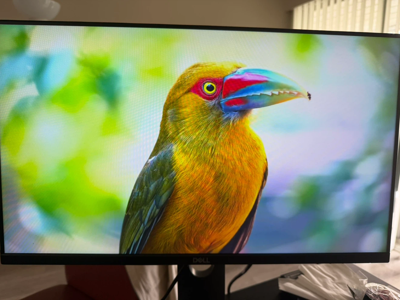 Dell Monitor - photo 4