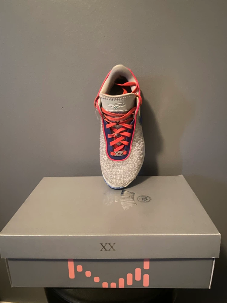 Nike Lebron Witness 5 Shoes