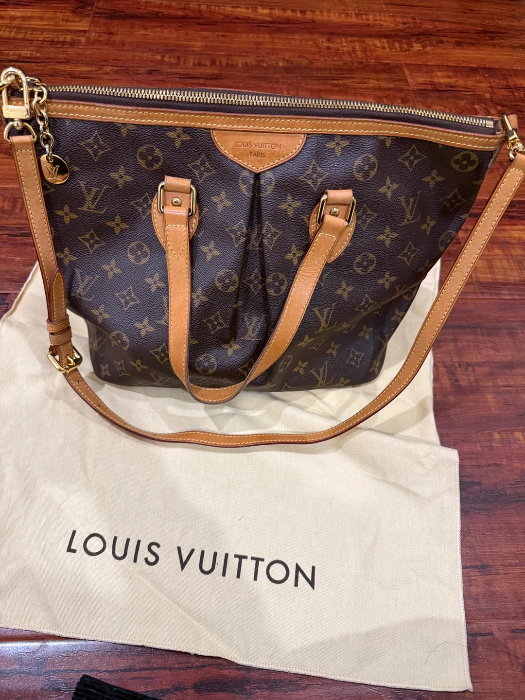 Louis Vuitton Monogram Canvas Palermo bag
